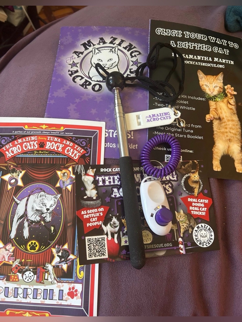 The Amazing Acrocats Gear cat training kit